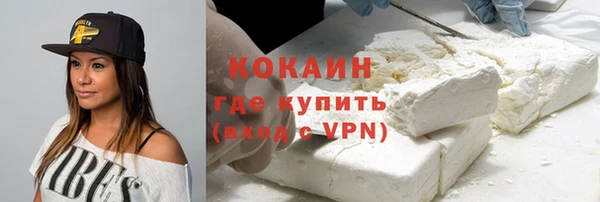 тгк Касимов
