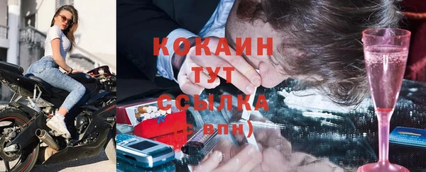 spice Каменка