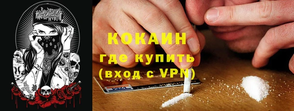 spice Каменка