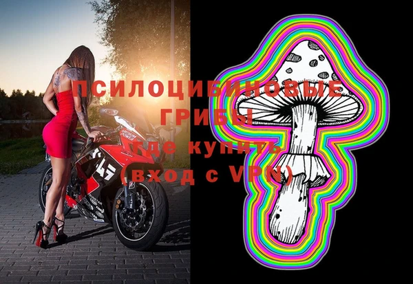 винт Каменногорск