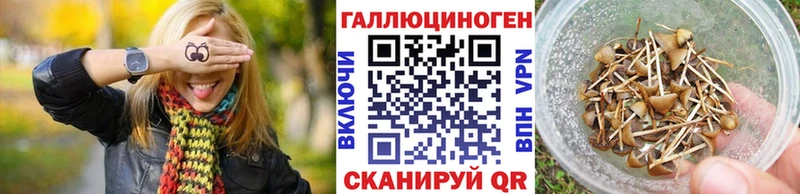 гидра рабочий сайт  Каргополь  Галлюциногенные грибы MAGIC MUSHROOMS 